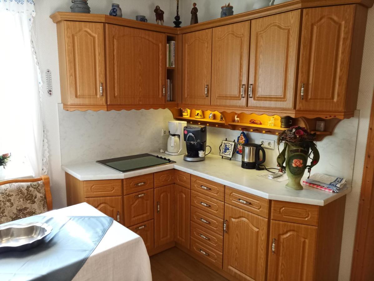 Ferienwohnung Waldblick Im Haus Ludwig Masserberg Eksteriør billede